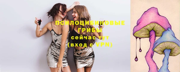 spice Алексеевка