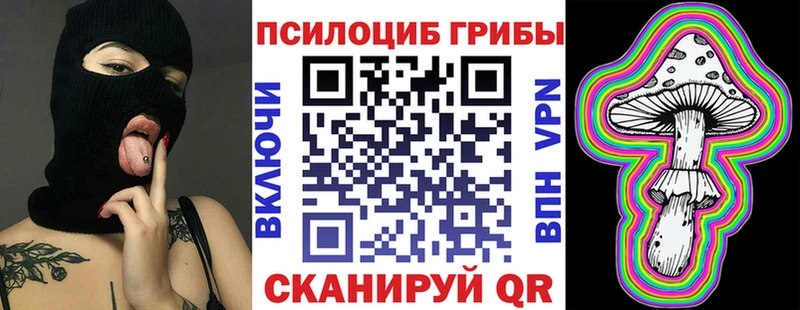 Псилоцибиновые грибы Psilocybe Дзержинский